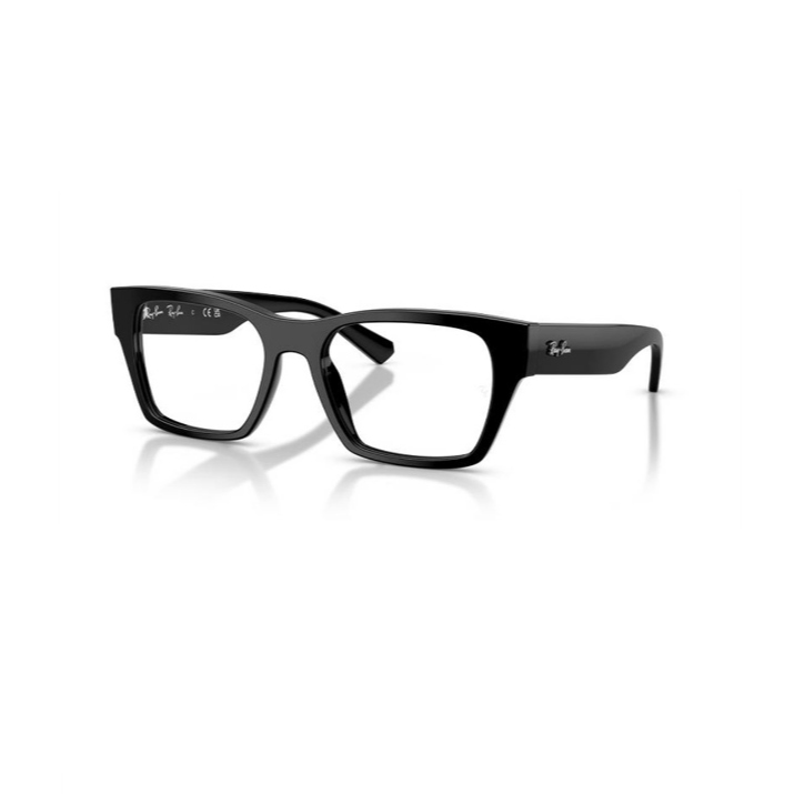 RAY BAN 5448